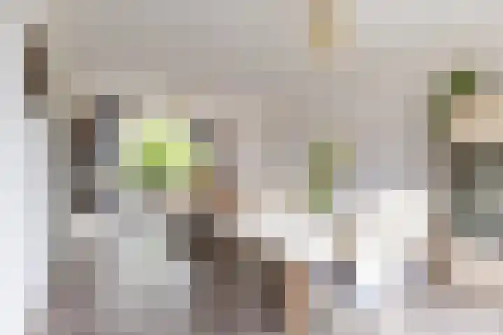 Zonnelaan 37 Purmerend thumbnail 18