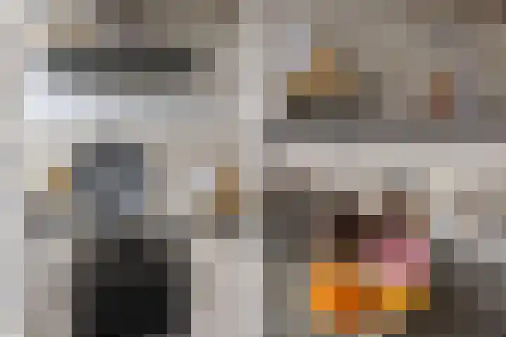 Zonnelaan 37 Purmerend thumbnail 21