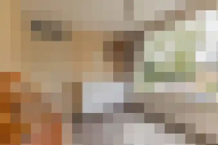 Zonnelaan 37 Purmerend thumbnail 29