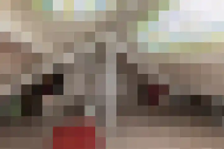 Zonnelaan 37 Purmerend thumbnail 34