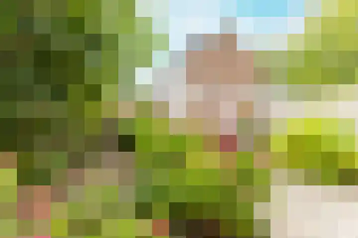 Zonnelaan 37 Purmerend thumbnail 36