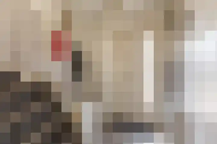 Zonnelaan 37 Purmerend thumbnail 8