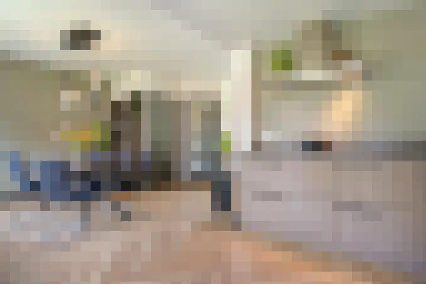 Zonnelaan 39 Hardenberg thumbnail 12