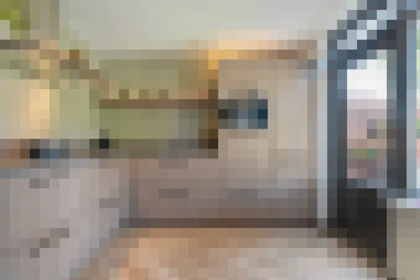 Zonnelaan 39 Hardenberg thumbnail 13