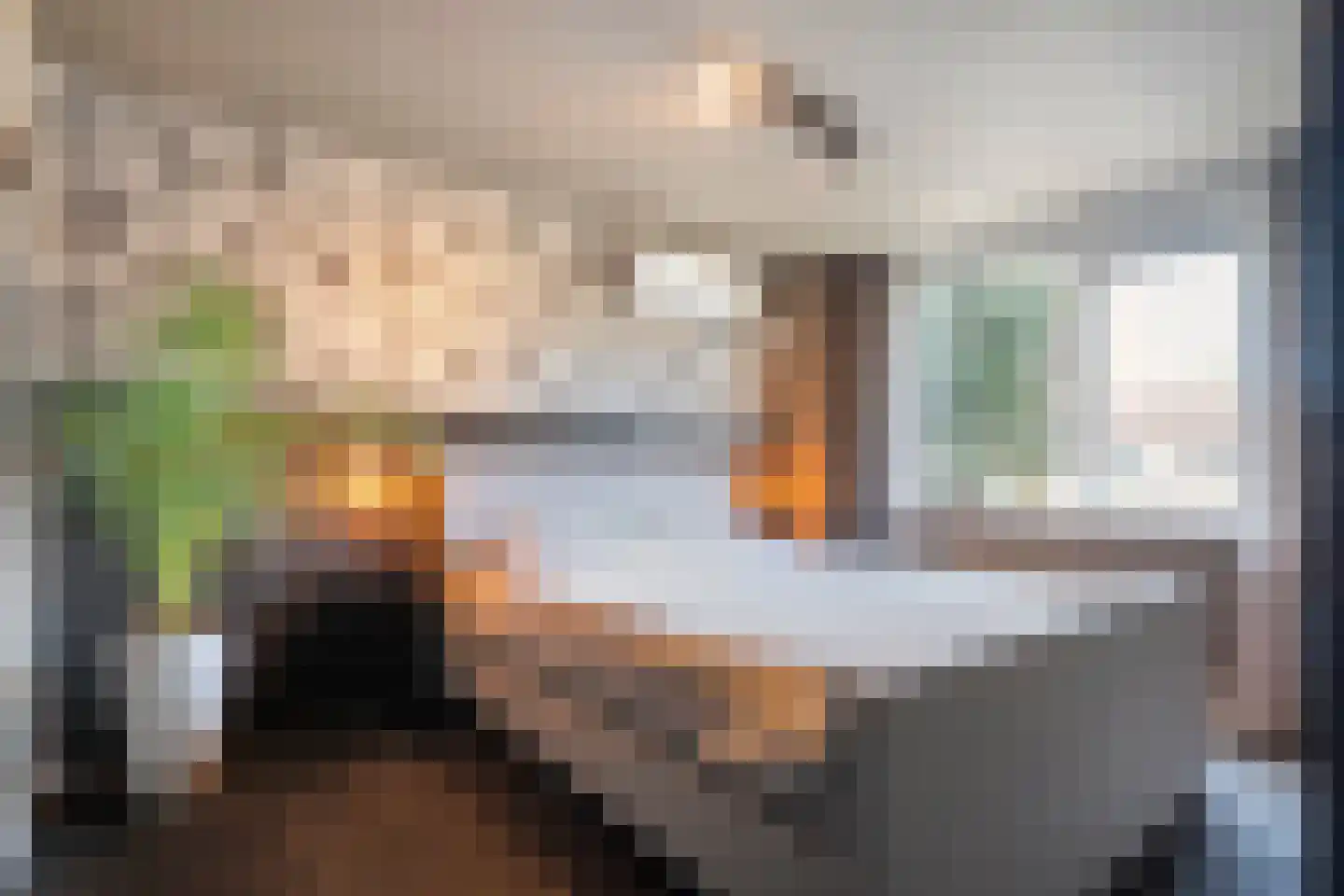 Zonnelaan 39 Hardenberg thumbnail 17