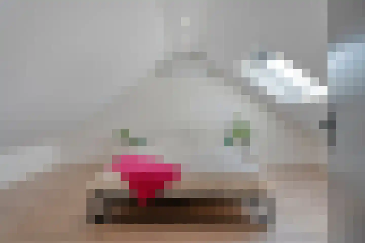 Zonnelaan 39 Hardenberg thumbnail 31