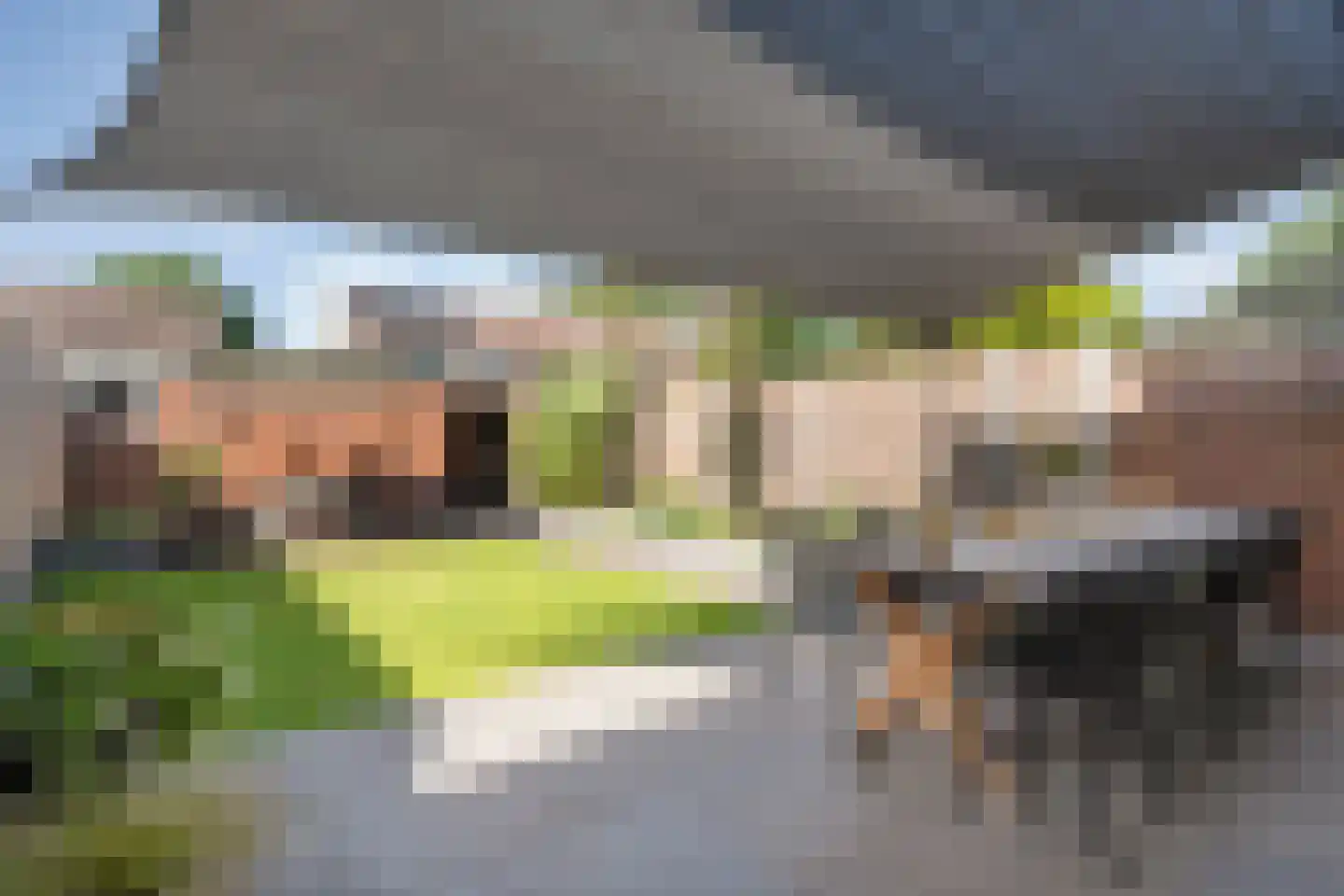 Zonnelaan 39 Hardenberg thumbnail 34