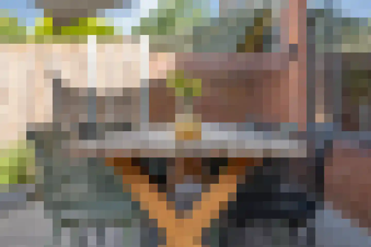 Zonnelaan 39 Hardenberg thumbnail 36