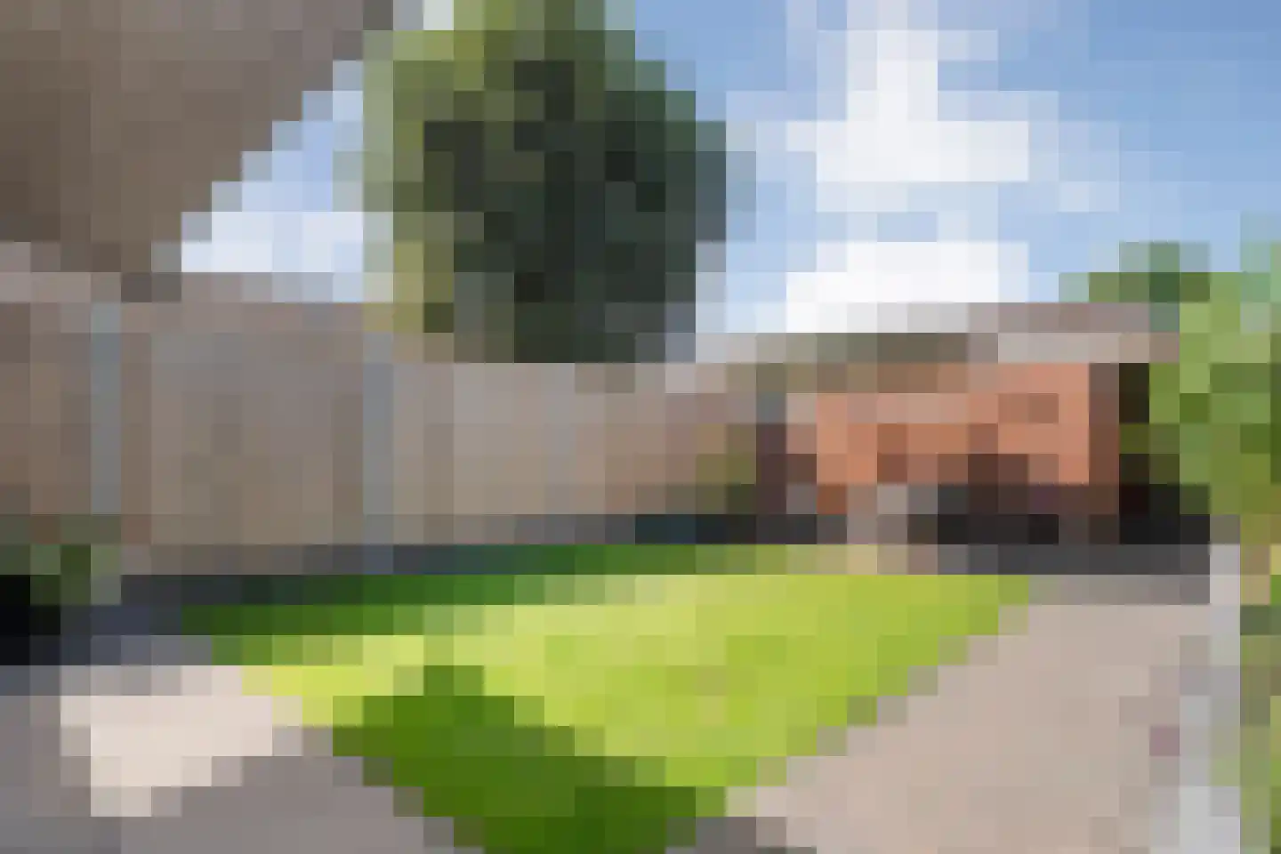 Zonnelaan 39 Hardenberg thumbnail 38
