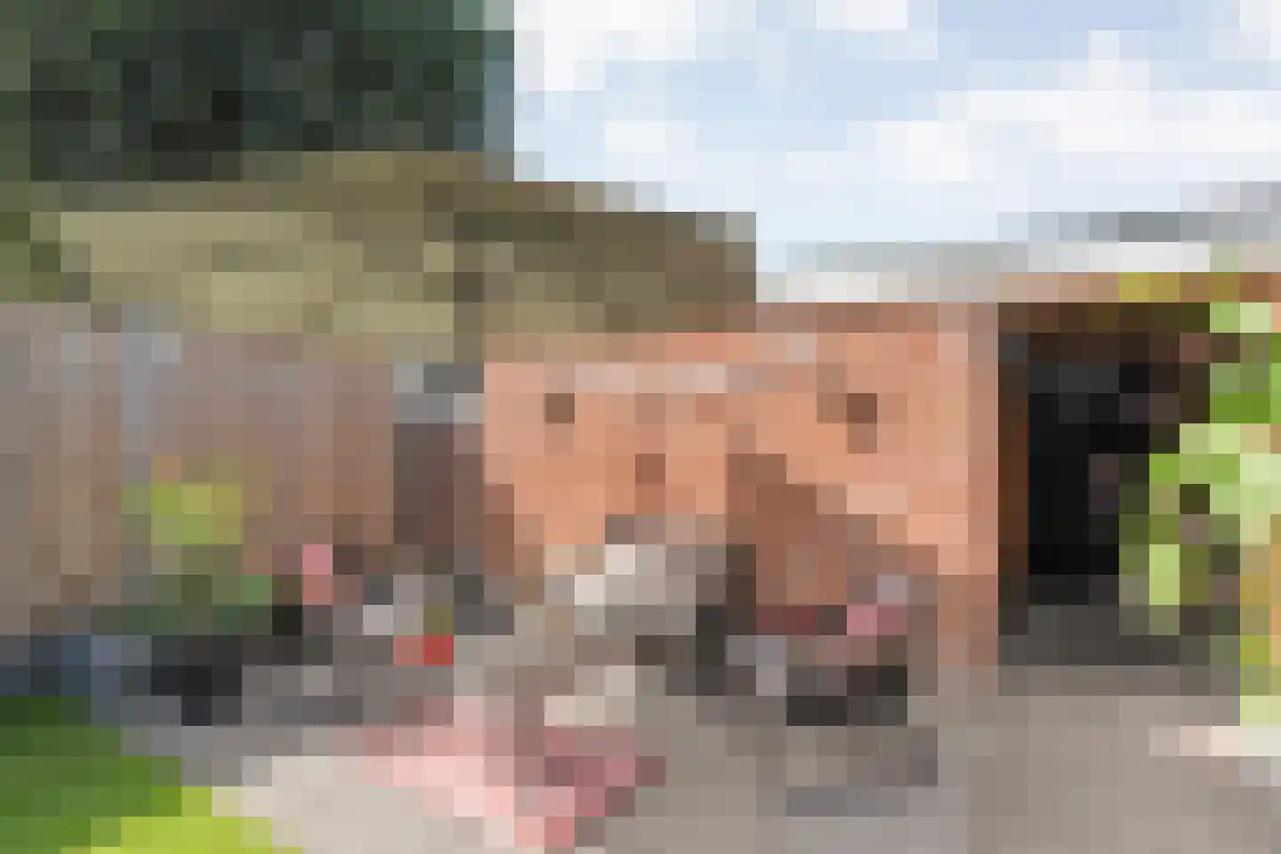 Zonnelaan 39 Hardenberg thumbnail 39