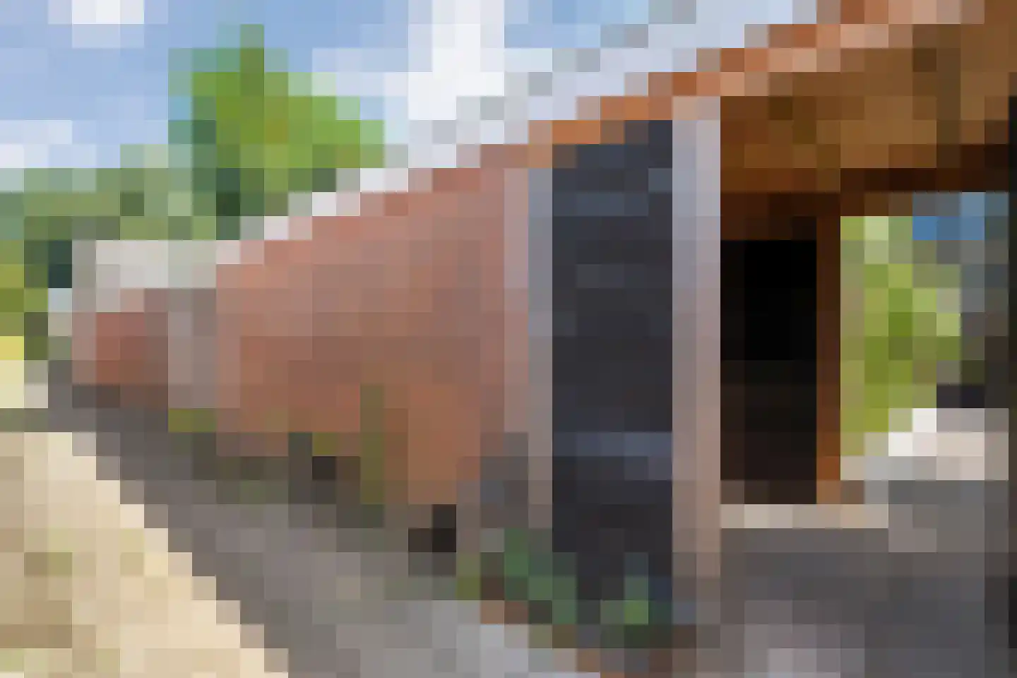 Zonnelaan 39 Hardenberg thumbnail 42