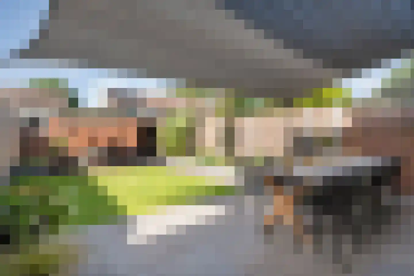 Zonnelaan 39 Hardenberg thumbnail 7