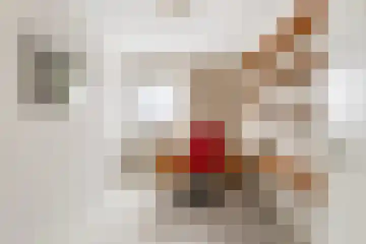 Zonnelaan 4 F Hilversum thumbnail 15
