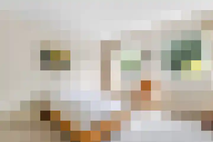 Zonnelaan 4 F Hilversum thumbnail 17