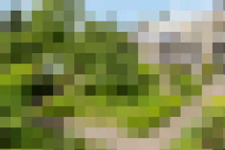Zonnelaan 4 F Hilversum thumbnail 21