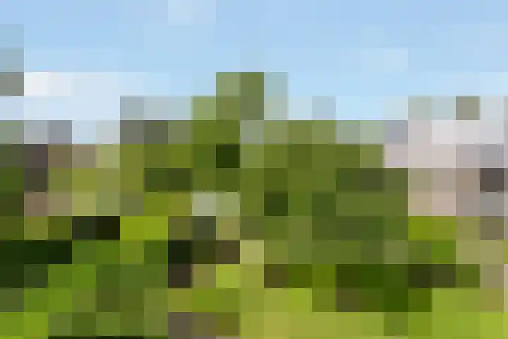 Zonnelaan 4 F Hilversum thumbnail 6