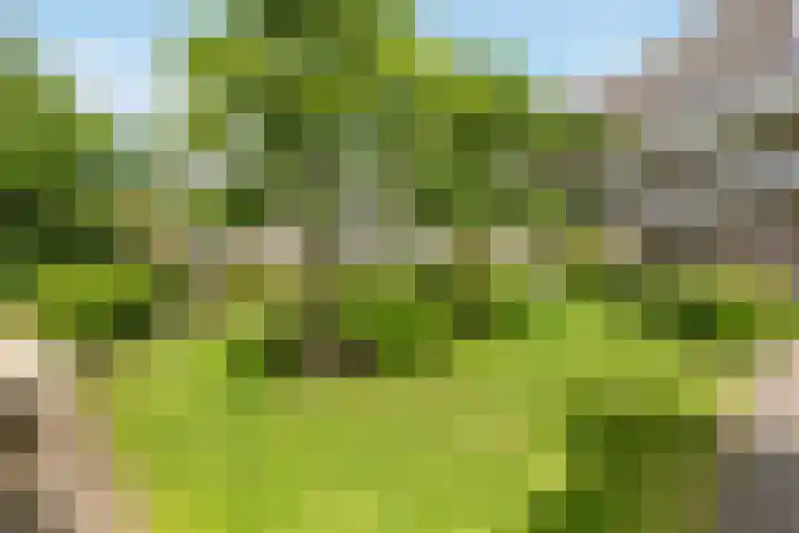 Zonnelaan 4 F Hilversum thumbnail 7
