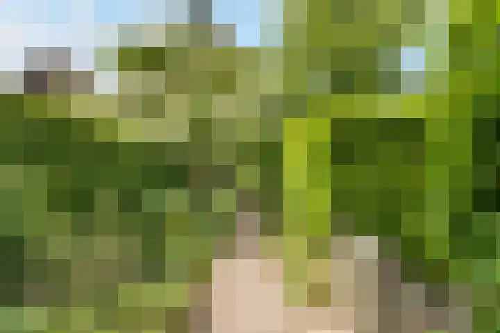 Zonnelaan 4 F Hilversum thumbnail 8