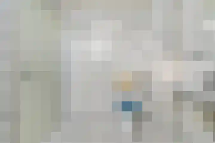 Zonnelaan 41 Hardenberg thumbnail 22