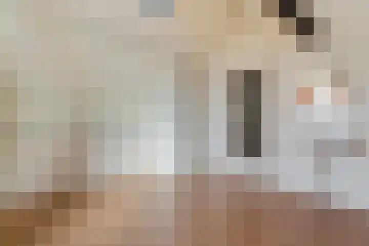 Zonnelaan 41 Hardenberg thumbnail 27