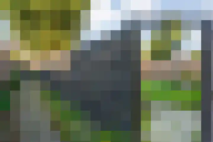 Zonnelaan 41 Hardenberg thumbnail 30