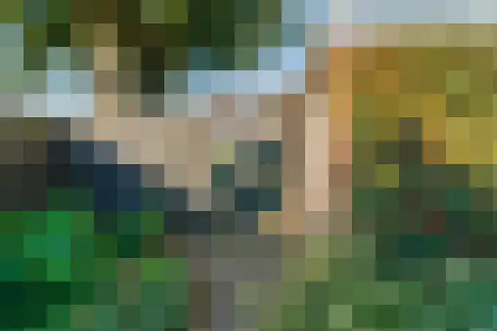 Zonnelaan 41 Hardenberg thumbnail 31