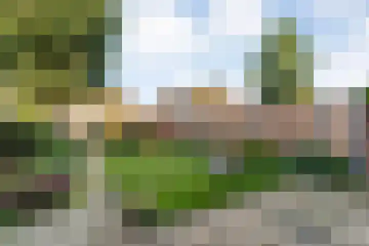 Zonnelaan 41 Hardenberg thumbnail 32