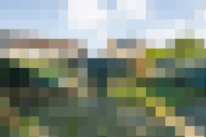 Zonnelaan 41 Hardenberg thumbnail 33
