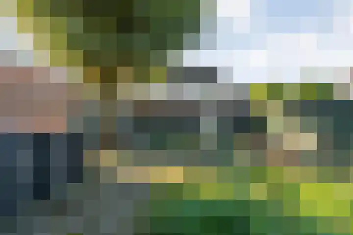 Zonnelaan 41 Hardenberg thumbnail 34