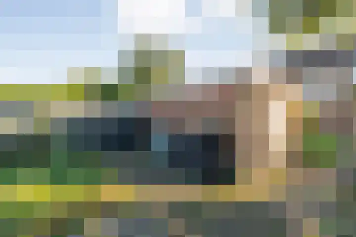 Zonnelaan 41 Hardenberg thumbnail 35