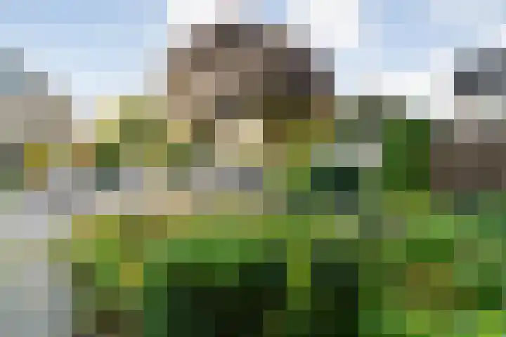 Zonnelaan 41 Hardenberg thumbnail 37
