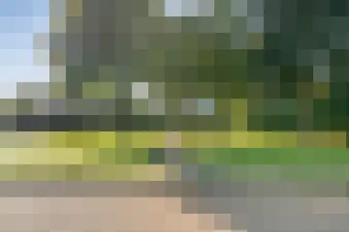 Zonnelaan 41 Hardenberg thumbnail 38