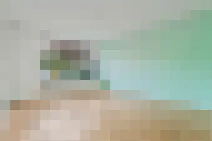 Zonnelaan 41 Hardenberg thumbnail 9