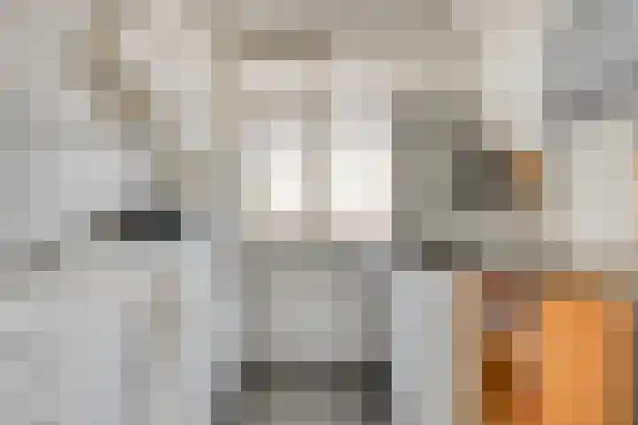 Zonnelaan 52 Groningen thumbnail 11