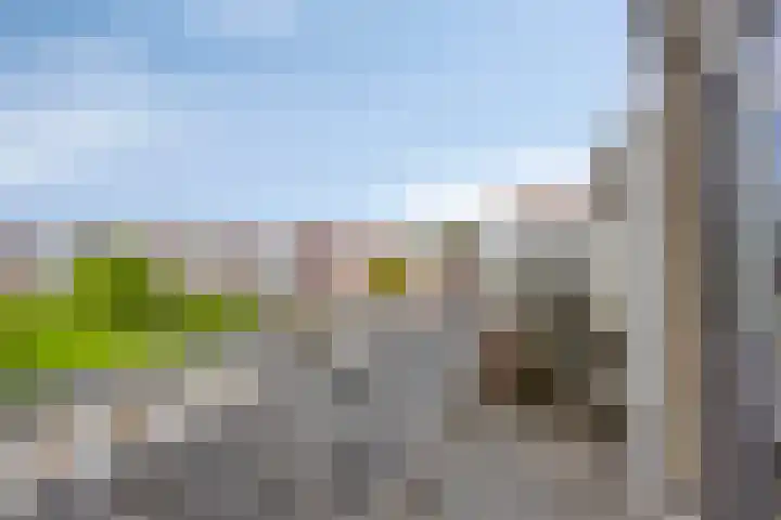 Zonnelaan 52 Groningen thumbnail 4