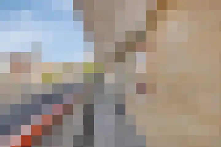 Zonnelaan 52 Groningen thumbnail 6