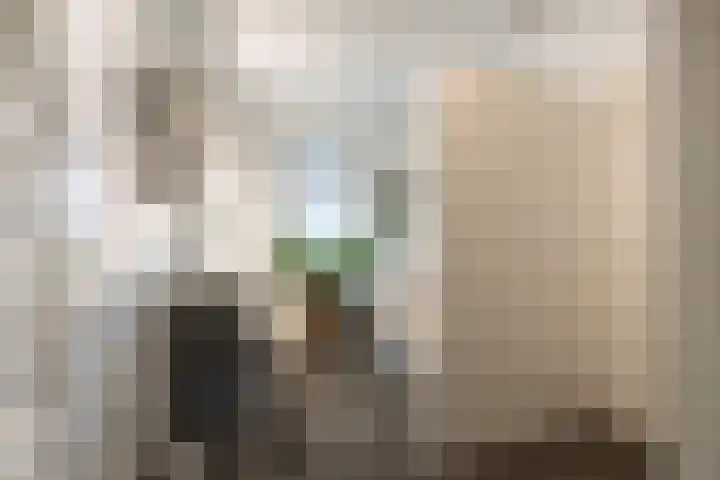 Zonnelaan 62 Huis ter Heide thumbnail 17