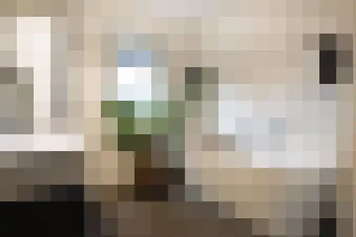 Zonnelaan 62 Huis ter Heide thumbnail 18