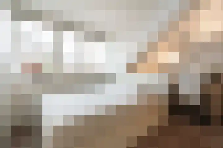 Zonnelaan 62 Huis ter Heide thumbnail 20