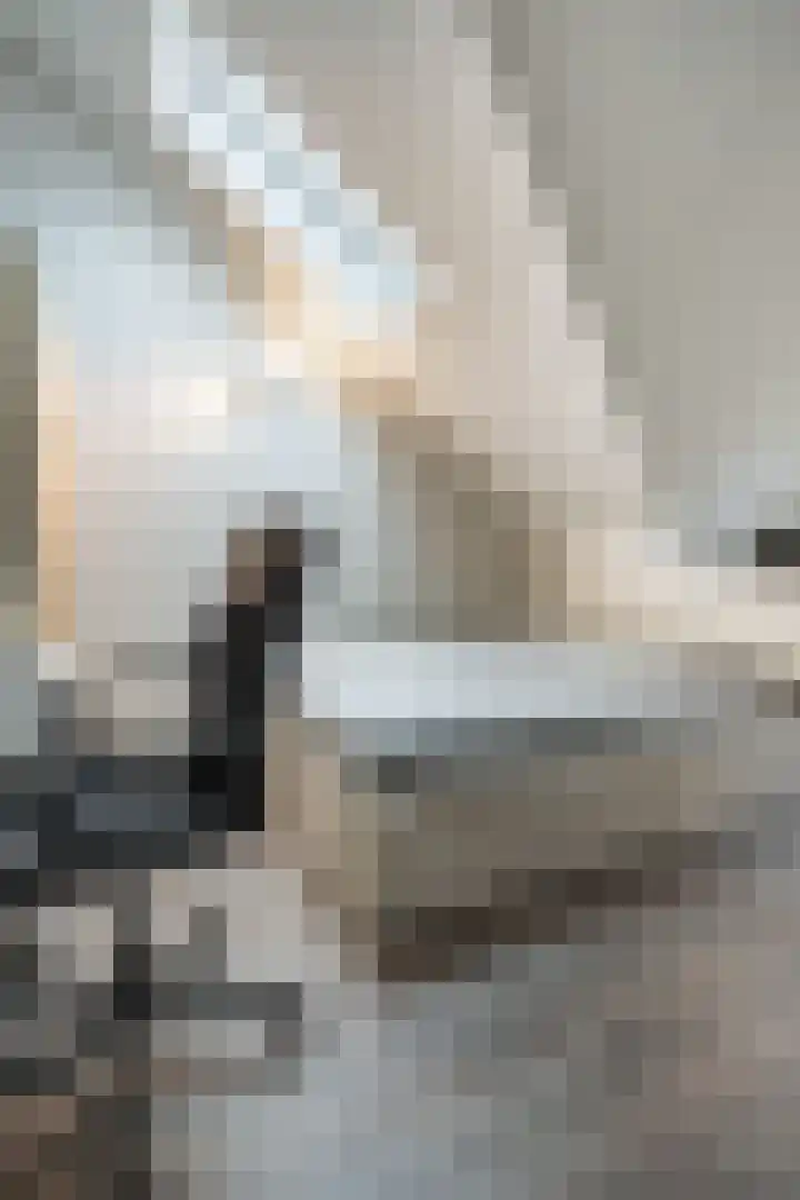 Zonnelaan 62 Huis ter Heide thumbnail 21