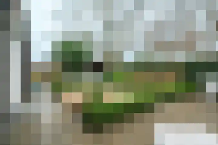 Zonnelaan 62 Huis ter Heide thumbnail 24