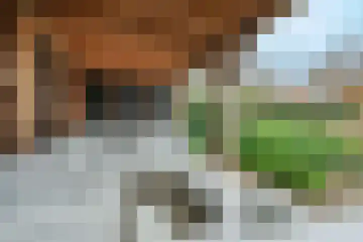 Zonnelaan 62 Huis ter Heide thumbnail 25