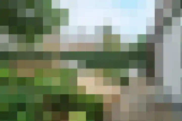 Zonnelaan 62 Huis ter Heide thumbnail 26