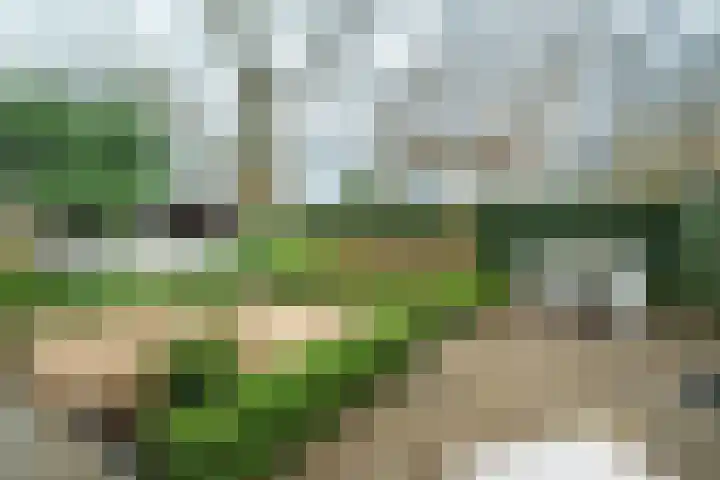 Zonnelaan 62 Huis ter Heide thumbnail 27