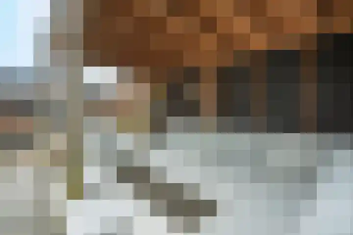 Zonnelaan 62 Huis ter Heide thumbnail 28