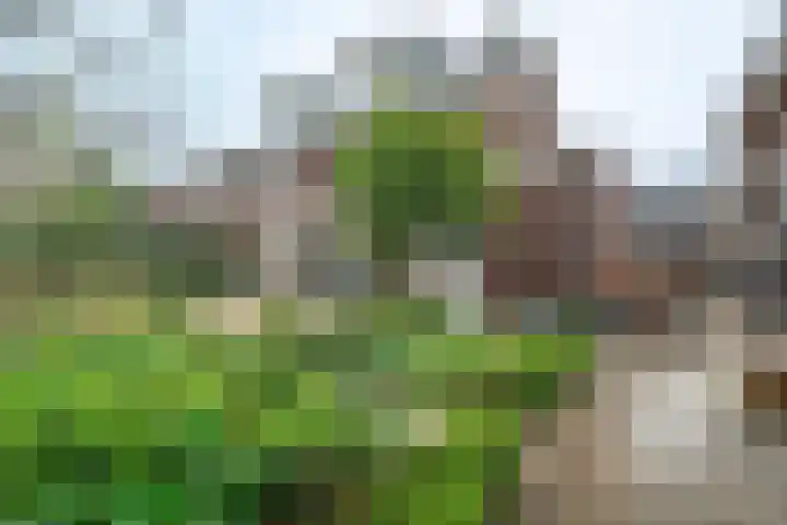Zonnelaan 62 Huis ter Heide thumbnail 29
