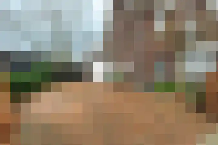 Zonnelaan 62 Huis ter Heide thumbnail 31