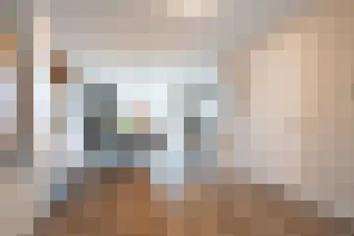 Zonnelaan 62 Huis ter Heide thumbnail 6