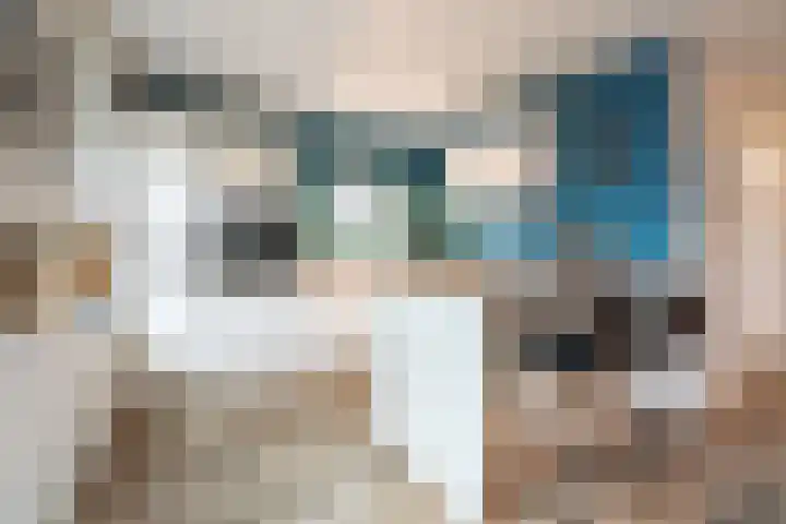 Zonnelaan 62 Huis ter Heide thumbnail 8