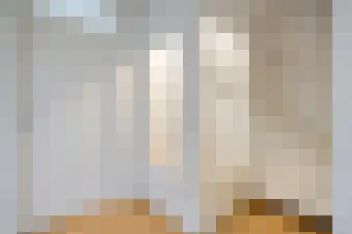 Zonnelaan 7 Hardenberg thumbnail 16